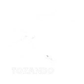 Tozando International